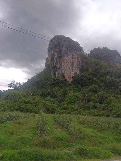 The image captures a landscape in Pak Phraek, Thailand. A large, sheer limestone cliff, partially covered in vegetation, dominates the scene. Lush green trees and foliage cover the lower slopes of the mountain. A cultivated field, showing rows of what appear to be small plants, lies in the foreground. Overcast skies, hinting at potential rain, fill the upper portion of the frame. A set of electrical wires cut across the upper portion of the image. No people are visible.