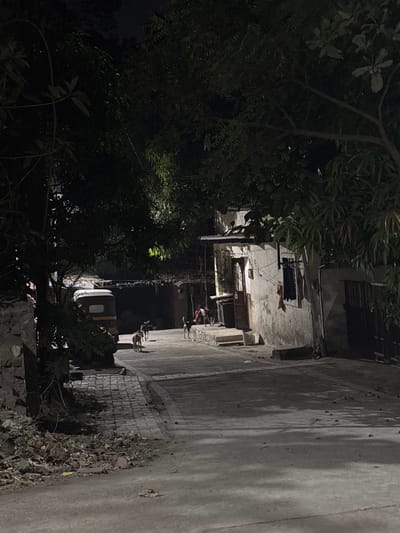 The image depicts a nighttime scene on a narrow, paved street or alleyway in Ambernath, India. The street is dimly lit, casting long shadows from overhead trees and structures.

**Environment:**
*   **Sky:** Dark, obscured by dense tree canopies.
*   **Vegetation:** Abundant trees and foliage line both sides of the street and overhang the path, creating a dark, enclosed feel.
*   **Ground:** The street surface is dark, likely asphalt or concrete, with a brick-patterned footpath running along the left side. Accumulated debris, including dried leaves and small rocks, is visible at the base of a low stone wall on the left foreground.

**Structures:**
*   **Right Side:** A two-story, light-colored building with a weathered facade is prominent. It features an arched doorway, a closed window, and visible electrical wiring and meter boxes. Two pieces of fabric, one orange and one dark, are hanging on the exterior wall near the window. Further right, a dark, barred gate leads to another structure.
*   **Left Side:** A low stone wall runs parallel to the street. In the background, other darker, less distinct residential structures are visible.

**Objects/Subjects:**
*   **Vehicles:** A three-wheeled auto-rickshaw is parked on the left side of the street, partially obscured by foliage and the stone wall.
*   **Animals:** At least five dogs are present on the street.
    *   One light-colored dog walks towards the background, left of center.
    *   One darker dog follows further behind it.
    *   Another dog is visible near the entrance of the light-colored building on the right.
    *   Two additional dogs are in the distant background, near the end of the visible street, one lighter and one darker.
*   **People:** No human figures are clearly discernible.

**Lighting:**
Artificial light sources, likely streetlights or lights from the buildings, illuminate the scene unevenly, creating pools of light and deep shadows.