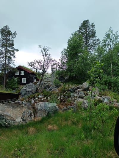 The image shows a dark wooden house with white-framed windows and a green, moss-covered roof, situated on a rocky hillside. The house is nestled amongst tall pine trees and a variety of deciduous trees and shrubs. A steep, rocky slope with large boulders dominates the foreground and midground, with lush green grass growing in patches among the rocks and in the lower portion of the image. The sky is overcast and appears a pale gray. The scene is likely a residential property in a rural or semi-rural area, given the natural landscape and the presence of a single dwelling. The style of the house suggests a Scandinavian architectural influence. There are no people or vehicles visible in the image, and no discernible human activity other than the presence of the building itself. The overall impression is one of a remote, natural setting.