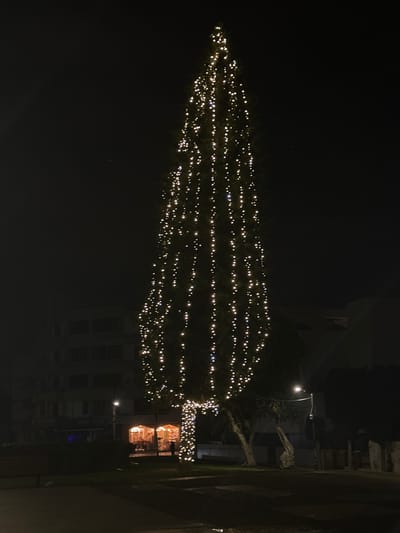 This night-time image captures a large, vertically oriented tree, heavily adorned with warm white string lights, presented horizontally across the frame due to the photo's rotation. The tree, likely a Christmas tree or a similarly decorated evergreen, is conical and extends significantly from left to right. Hundreds of small, bright lights are strung in multiple horizontal lines across its full length, creating a dense, sparkling effect against the dark background.

In the upper right portion of the image (corresponding to the lower right when viewed correctly), dimly lit buildings are visible behind the tree. One building appears to be multi-storied with dark windows. Closer to the main tree, another smaller structure, possibly a kiosk or shed, is also brightly illuminated with warm lights, suggesting a festive display or market. A street lamp with a single bright light is also visible, casting a glow in its immediate vicinity. Patches of dark ground cover or grass can be seen in the foreground and near the buildings.

The scene depicts a public space in Engomi̇ Lefkoşa, Cyprus, during the holiday season, with the decorated tree being the focal point of a festive outdoor display. The dark sky indicates it is late evening or night. The bright, warm lights evoke a sense of joy and celebration. There are no people visible, and no discernible text is present in the image. The overall mood is serene and festive.