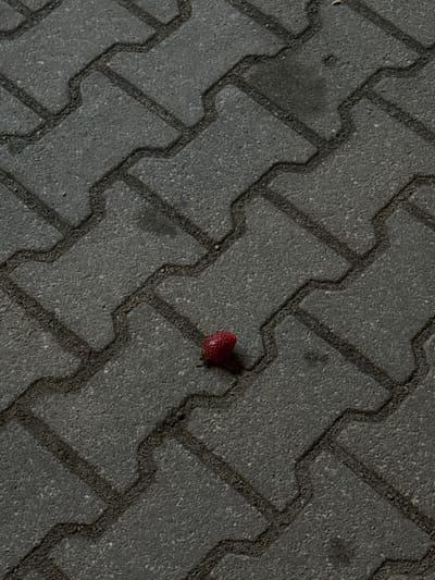 A single, ripe strawberry rests on a textured, grey interlocking brick pavement in Butsenino, Russia. The bricks are arranged in a pattern that creates a series of interlocking shapes, with dark grout lines defining their edges. The lighting suggests an outdoor setting, possibly during the day, with some shadows cast on the pavement. The strawberry is small and appears to have been dropped or discarded, as it is the sole object of interest on the otherwise uniform surface. The scene is devoid of human presence or any other identifiable objects.
