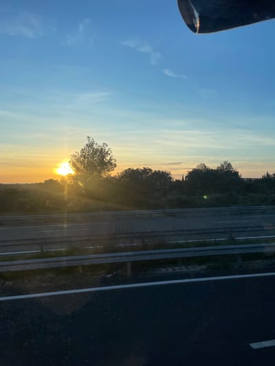 The image displays an outdoor scene at either sunrise or sunset, located in the vicinity of La Palme, France. The foreground features a multi-lane asphalt road, characterized by dark pavement and white lane markings. Above this, two parallel metal guardrails are visible. Beyond the guardrails, a strip of low vegetation leads to a dense line of trees and bushes forming the horizon. The sun, appearing as an intense white-yellow orb, is positioned low on the left horizon, partially obscured by the foliage of a large tree, and casts strong light rays across the landscape. The sky transitions from bright yellow and orange at the horizon to pale blue and then a deeper blue overhead, with minimal, wispy clouds. A slender, dark spire, consistent with a church steeple, is discernible above the tree line in the right mid-ground. A dark, curved, metallic object is partially visible in the extreme top-right corner, indicating the vantage point is from within or closely adjacent to a structure or vehicle. No individuals or explicit actions are depicted.