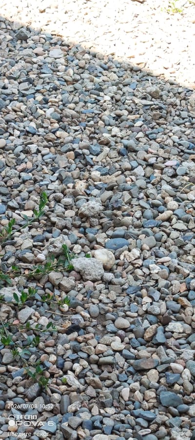 The image shows a close-up, aerial view of a surface covered in a dense layer of small to medium-sized river stones. The stones vary in color, including shades of grey, brown, white, and blue-grey, and are irregular in shape and texture. In the lower left portion of the image, several small green plants with delicate leaves are growing amongst the stones. The top portion of the image appears brighter, possibly indicating a light source from above or a change in the stone composition. Watermarks are visible in the bottom left corner, indicating a date of "2026/07/08 10:52" and text that includes "TECNO POVA 6". This image depicts a natural or landscaped outdoor area, possibly a garden path, a streambed, or a decorative ground covering within the city of Rodniki, Russia.
