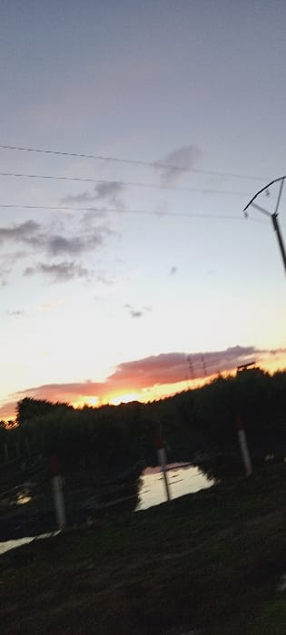 The image, originally rotated 90 degrees counter-clockwise, depicts a serene outdoor landscape during either sunrise or sunset. The sky dominates the upper portion of the correctly oriented frame, transitioning from a soft grey-blue at the top to vivid orange, pink, and yellow along the horizon, indicative of the sun's low position. Scattered white and grey clouds are visible across the sky.

On the far left, the upper structure of a high-voltage power line pylon is prominently featured, with multiple wires stretching horizontally across the sky. Below the vibrant horizon, a dark silhouette of what appears to be a treeline or distant hills stretches across the middle of the frame. In the lower right, a calm body of water reflects the lighter tones of the sky. The foreground consists of a dark, vegetated area, possibly grass or low shrubs. Several slender, pole-like objects, some with reflective tops, are visible in this darker foreground and near the water's edge.

The scene conveys a peaceful atmosphere, highlighting the natural beauty of the sky's colors at dawn or dusk in an open, possibly rural, setting. No individuals or specific activities are depicted. There is no visible text in the image. The location context provided is Dar Oum Soltane, Morocco.