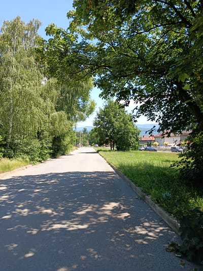 The image depicts a sun-dappled asphalt road in a residential area. The road is flanked by green grass and trees on both sides, with shadows from the trees cast across the pavement. In the distance, several houses with red-tiled roofs are visible, as well as a few parked cars. The sky is clear and blue. The scene appears to be captured on a bright, sunny day, likely in a suburban or rural setting within Zlatitsa, Bulgaria, given the architecture and vegetation typical of the region. No people are present in the immediate vicinity of the road. The overall impression is one of a quiet, peaceful summer day.