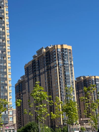 This is a low-angle, outdoor, medium shot of a clear blue sky with multiple tall, modern apartment buildings. In the foreground, the left edge of the frame is dominated by a very tall, slender building with a facade of alternating vertical dark-colored sections and lighter yellow sections with many regularly spaced windows. To the right of this building are two taller, wider apartment buildings, with the one closer to the viewer having a tan and dark brown facade. The closer tan building has a more complex, stepped architectural design at the top. The building behind it is predominantly dark brown with numerous windows. Several young, leafy green trees are growing in front of the apartment buildings, partially obscuring their lower floors. The lower part of the image shows the tops of what appear to be storefronts or the ground floor of other buildings, one with a sign that reads "ТОРТЫ" (Cakes) in Russian. The scene is illuminated by bright sunlight, casting subtle shadows. The location is Pargolovo, Russia.
