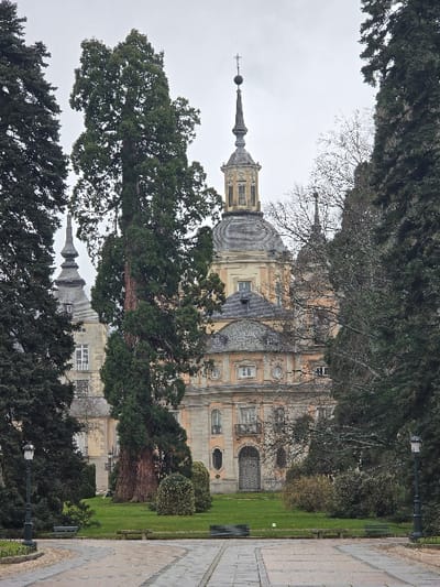 The image displays the Royal Palace of La Granja de San Ildefonso within the city of Real Sitio de San Ildefonso, Spain, observed from a garden pathway on an overcast day. In the foreground, a wide paved path, featuring lighter central sections and darker, patterned edges, recedes into the midground. Two black, ornate streetlamps flank the path, one on the left and one on the right. Several green park benches are situated on a manicured green lawn beyond the path. A towering evergreen tree with a thick, reddish-brown trunk stands prominently on the left side of the lawn, partially obscuring the palace facade. The main subject, the palace, is a multi-story, light-colored Baroque structure with a grey roof, numerous windows, and some balconies. Its central architectural element is a grey dome, topped by a lantern, a slender spire, an orb, and a cross. A smaller, similar spire, also featuring an orb and cross, is visible to the left of the main dome. The palace is framed on both sides by dense evergreen trees, with some bare deciduous trees visible on the right. No individuals are present in the depicted scene.