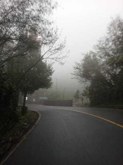 The image depicts a foggy road scene in Dawathang_Dorjibi_Kashingtsawa, Bhutan. A dark, wet asphalt road curves gently to the right, receding into dense, white fog that obscures the horizon and sky. A continuous yellow line is visible on the right side of the road, marking the edge of a lane.

On the left side of the road, a narrow, dark embankment with green vegetation borders the pavement. Several trees with dark, wet trunks and branches stand along this edge; some have sparse, thin branches extending towards the top of the frame, while others display denser green foliage. A white circular sign is partially visible behind a tree trunk near the road's edge. Further back, partially obscured by the fog and trees, a red rectangular sign and a blue sign are discernible. A black street light pole with a visible luminaire stands erect on the left side, extending into the fog.

The right side of the road is bordered by dense green foliage and trees that blend into the fog. Another street light pole is visible further down the road. A dark, low barrier or wall runs parallel to the road for a segment, behind which several smaller, pointed evergreen trees are faintly visible.

No individuals, animals, or vehicles are present in the scene. The overall environment is characterized by heavy fog, indicating high humidity or precipitation, with wet surfaces throughout. The lighting is diffuse due to the fog.