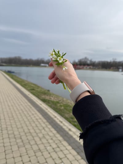 A person's hand, wearing an Apple watch with a light-colored band, holds a small bunch of white flowers with green stems and leaves. The background consists of a body of water, a strip of green grass, and a walkway made of light-colored bricks. A line of trees is visible in the distance on the opposite side of the water. The sleeve of a black hoodie, with a frayed edge, is partially visible on the person's arm. The scene appears to be outdoors, likely near a river or lake. The location is in the city of Kurganinsk, Russia.