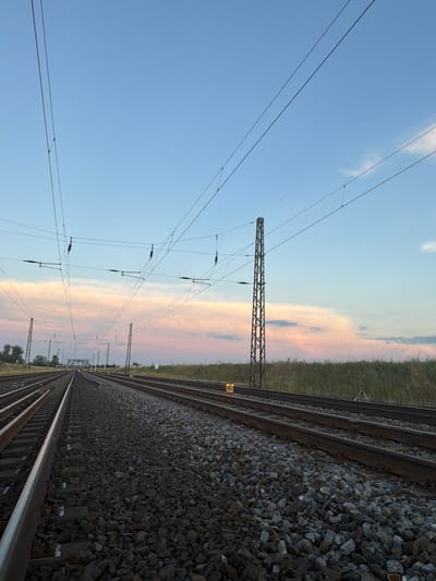 This is a low-angle, full outdoor shot of multiple parallel railway tracks extending into the distance in Schönebeck (Elbe), Germany. The tracks are covered in dark grey ballast, with the steel rails glistening in the light. Overhead, a complex network of power lines for an electric railway stretches across the frame, supported by tall metal pylons. The sky is a gradient of pale blue, transitioning to a soft pink and peach hue near the horizon, indicating either dawn or dusk. A large, fluffy cloud formation is visible in the distance, catching the colorful light. The scene is devoid of people or any visible action. To the right of the tracks, tall, dry grass forms a dense line, separating the railway infrastructure from the distant landscape.