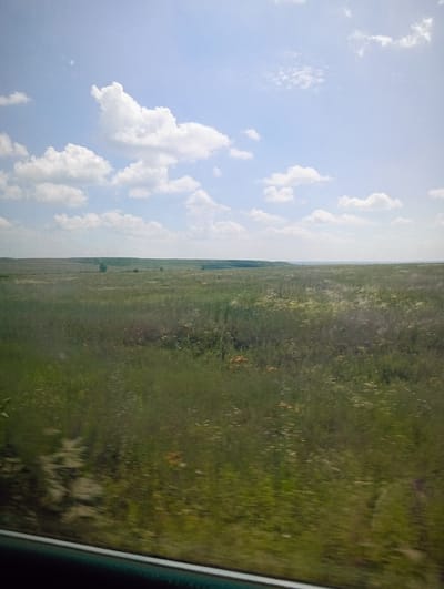 The image depicts a vast, green, grassy plain under a partly cloudy sky. The landscape stretches horizontally with rolling hills in the distance, partially obscured by a hazy horizon. The foreground is dominated by the blurry motion of tall grasses, suggesting the photo was taken from a moving vehicle. Several scattered trees are visible in the mid-ground, and some lighter patches in the grass may indicate wildflowers or dry vegetation. The sky is a pale blue with scattered white cumulus clouds. The bottom of the image shows a blurred dark frame, likely the edge of a window or car interior. The scene appears to be a natural, open landscape characteristic of the steppe regions of Kazakhstan, potentially near Aleksandrovka. There are no people or specific man-made structures clearly identifiable.