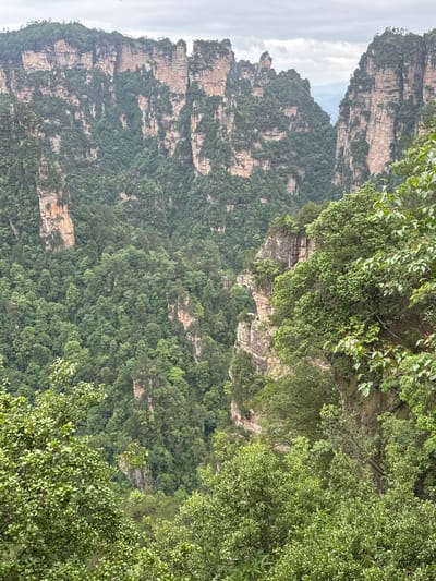 The image depicts a view of the sandstone pillars in the Zhangjiajie National Forest Park, located in Luoguta, China. The pillars are densely vegetated with green trees and shrubbery. The sky is overcast with grey clouds. The image is vertically oriented, with the pillars seemingly towering upwards. There are no people visible in the frame.