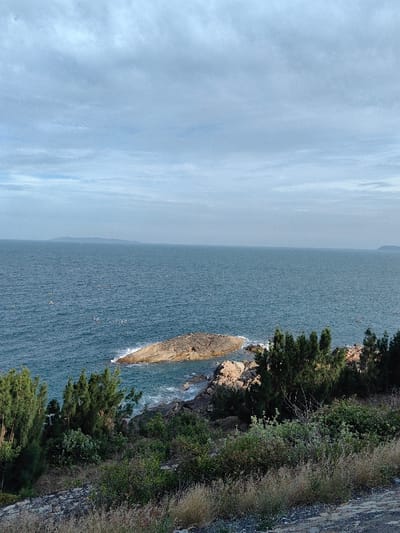 The image displays a coastal landscape in Tuy Phong 4, Vietnam, captured from an elevated perspective overlooking the sea. The scene is dominated by a vast expanse of dark blue-green ocean under a light grey, cloudy sky occupying approximately the upper third of the frame. Scattered across the water's surface, particularly in the left-center, are numerous small, white or light-colored objects, possibly buoys or fishing implements.
In the midground, a prominent, light brown and dark grey rocky outcropping extends into the water from the right, with waves visibly breaking against its perimeter, producing white foam. Adjacent to this formation, the rugged shoreline consists of dark rocks heavily covered by dense green vegetation, including several tall, slender, pine-like trees and various bushes.
The foreground presents a dry, earthy slope with sparse, light brown grasses and green shrubbery. The very bottom edge of the image, particularly on the right, shows a dark, possibly paved or well-trodden surface, suggesting the viewpoint is from a road or path. Distant, faint landmasses are visible on the horizon, one more prominent on the left. No individuals or direct human activities are depicted.