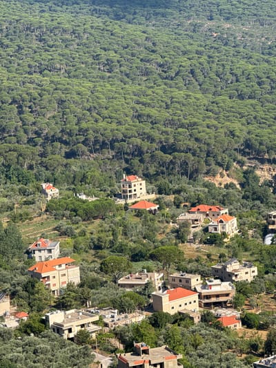 This image, captured from an elevated perspective in Jezzine, Lebanon, depicts a sprawling hillside dotted with residential buildings nestled within a dense, verdant forest. The upper portion of the frame is dominated by a vast expanse of green pine trees, characteristic of the region's natural landscape. Below the forest, the terrain becomes more varied, with scattered houses and villas, many featuring red-tiled roofs, interspersed among olive groves and smaller trees. Some of the structures appear to be under construction or recently built. The overall scene suggests a tranquil, semi-rural environment within the town.