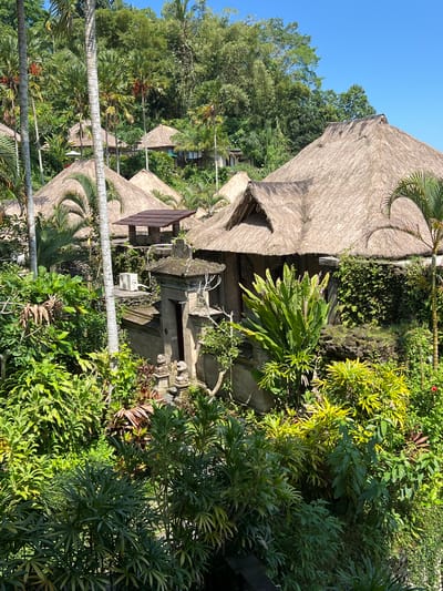 The image captures a scene in Kedewatan, Indonesia, featuring traditional thatched-roof buildings amidst lush tropical vegetation. The structures appear to be part of a resort or residential complex, with multiple buildings visible at varying distances. The foreground is dominated by dense greenery, including various shrubs, trees, and palm fronds. A prominent stone structure or gate, possibly part of a temple or entrance, is nestled among the vegetation. The sky is clear and blue, indicating a sunny day. The overall impression is one of tranquility and integration of traditional architecture with the natural environment.
