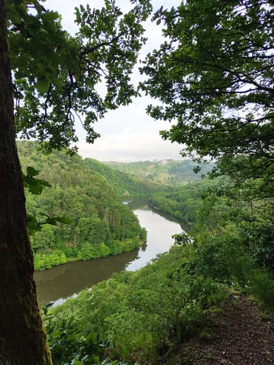 The image shows a river valley surrounded by dense green forests, likely taken from an elevated vantage point. The location is near Mettlach, Germany, as indicated by the Saarschleife (Saar Loop) visible in the distance, a well-known bend in the Saar River. The foreground is framed by tree branches and foliage, suggesting the photo was taken from within a wooded area. A pathway borders the forest line. No people or animals are visible.