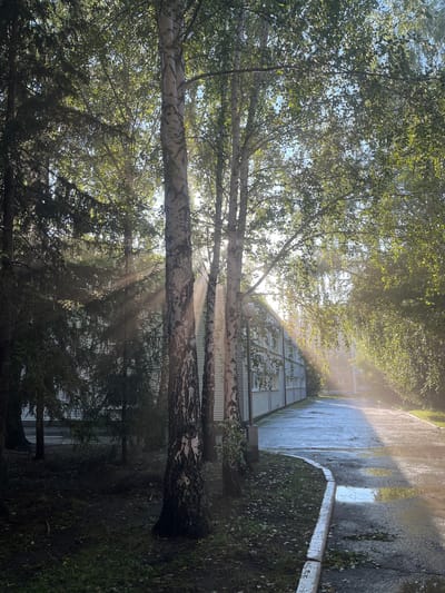 In Karagaiskii, Russia, a pathway runs alongside a building with a light-colored, horizontally paneled facade and numerous windows. The pathway is wet, reflecting the sunlight, and contains several puddles. Trees with white, textured bark and dense green foliage line the pathway, with sunlight streaming through their leaves and casting visible rays. Some of these trees appear to be birch, while others have a darker, more coniferous appearance. The ground near the trees is covered in dark soil and sparse green vegetation. The overall scene suggests a damp, possibly post-rain, morning or afternoon in an outdoor urban or semi-urban environment.