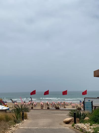 This is an eye-level, outdoor shot of a beach in Taghazout, Morocco. The photo is oriented vertically with the sky and ocean on the left and the beach and sidewalk on the right.
In the upper left, the sky is overcast, indicating potentially a cloudy day. Below, the ocean stretches out to the horizon with waves moving towards the shore.
Along the beach, there are numerous red and white umbrellas and sun loungers, arranged in rows. Several red flags are posted near the water's edge, likely indicating swimming conditions or warnings.
A paved sidewalk runs parallel to the beach, separated by low walls of vegetation and rocks. In the bottom right corner of the frame, additional plants and shrubs are visible, adding a natural border to the sidewalk. A sign is visible near the upper right corner of the image. A partially visible boardwalk or platform appears to be near the upper left corner.