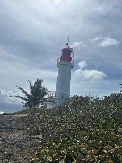 The image shows the Phare de la Pointe de la Grande Vigie lighthouse in Le Gosier, Guadeloupe, France, framed by vegetation on the right and a partly cloudy sky on the left. A palm tree partially obscures the base of the lighthouse. The lighthouse is white with a red top, visible steel framework, and a lightning rod. The terrain appears rocky with dense, leafy plants. In the distance, there is a glimpse of the sea and some cloud formations on the horizon.