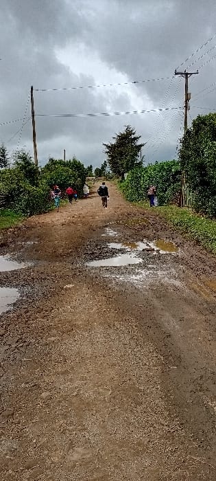 The image depicts an unpaved, muddy dirt road in Gatakaine, Kenya, under an overcast sky with heavy grey clouds. Numerous puddles are visible on the road surface, indicating recent rainfall.
Several individuals are present:
* In the mid-ground, a central figure walks away from the viewer down the middle of the road, wearing dark clothing.
* To the left of the central figure, a group of approximately three to four individuals walk away from the viewer; one appears to be pushing or riding a bicycle.
* To the far right, closer to the foreground, a lone individual stands amidst green foliage.
* Another individual is visible on the right side of the road, further back than the central figure, also amidst foliage.
The road is bordered on both sides by dense green bushes and trees. In the mid-ground and background, wooden utility poles with power lines run parallel to the road. A tall, dark green coniferous tree stands prominently in the center-right background. A metal gate is partially visible on the far right, integrated with the green vegetation.