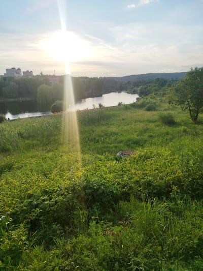 The image depicts a serene natural landscape in the city of Novyi Rozdil, Ukraine, bathed in the warm light of the setting or rising sun. The foreground is dominated by lush green grass and dense vegetation, with a slightly elevated viewpoint looking out over a body of water. In the mid-ground, a calm lake reflects the sky and surrounding trees. Along the edge of the lake, there are patches of taller reeds or grasses. Beyond the water, a tree-lined bank leads to a more distant landscape characterized by rolling hills covered in dense forest. In the far distance, on the left side of the frame, several multi-story buildings are visible, suggesting the proximity of a residential or urban area to this natural setting. A prominent sunbeam cuts diagonally across the image from the upper left, creating lens flare and illuminating the scene with a bright, ethereal glow. The sky is a pale blue with scattered wispy clouds, further enhancing the peaceful ambiance. On the grassy slope in the mid-ground, a circular manhole cover is partially visible amidst the foliage. No people are clearly discernible in the immediate foreground or mid-ground, though there might be a small figure on a bicycle near the lake's edge on the left.