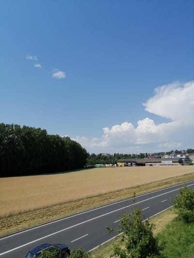 The image shows a view of a rural or semi-rural area with a highway in the foreground. On the left side of the image, a dense line of trees forms a dark green barrier. To the right of the trees is a large field of golden-yellow crop, likely wheat or barley, stretching towards the horizon. A paved highway with white lane markings runs diagonally from the bottom left to the middle right of the frame. A dark-colored SUV is parked on the shoulder of the road, partially obscured by green foliage. In the distance, across the field and beyond the highway, a cluster of buildings and houses are visible, suggesting a small town or a developed area. One building in the distance has a sign that reads "boissec". The sky is a clear blue with a few scattered white clouds, particularly a large, billowy cloud formation on the right side of the sky. The overall scene suggests a sunny day. The location is identified as Ecublens, Switzerland.