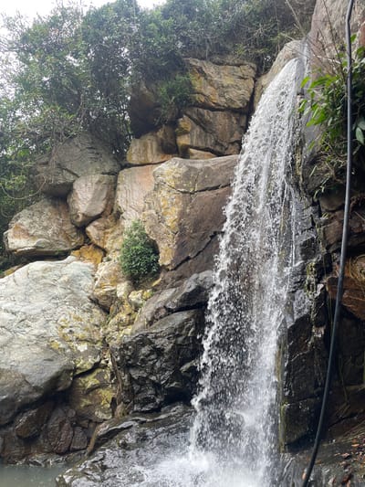 The image captures a powerful waterfall descending a rugged, multi-tiered rock face within the city of Ninh Hòa, Vietnam. A substantial flow of white, turbulent water plunges from an elevated point near the top right, creating significant spray as it impacts a dark, calm pool visible at the bottom left. The surrounding environment is dominated by large, irregular boulders and rock formations, varying in color from light grey to dark brown and black, with patches of yellow-green lichen visible on many surfaces. Dense green foliage and tree branches are present along the top edge of the cliff, and scattered smaller green plants cling to crevices in the rock face. A thin, dark, vertical tubular object, consistent with a pipe or cable, runs alongside the right edge of the waterfall. No individuals are visible in the scene.