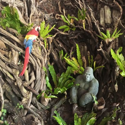 A decorative tableau features a vibrant, artificial macaw perched on gnarled, brown roots, its red, blue, and yellow plumage contrasting with the natural tones of its surroundings. To the right, a seated, grey, artificial gorilla figure rests amongst lush green ferns and tangled roots. The scene is set against a textured, reddish-brown wall, possibly brick, with some grey stone-like elements visible higher up. The overall impression is a constructed jungle-themed display, potentially found in a public space or a private garden in Bandar Baru, Indonesia.