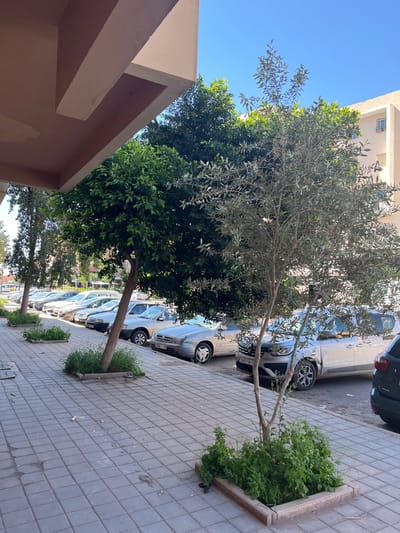 The image depicts a street scene in Saâda, Morocco. The street is lined with parked cars and trees growing in rectangular sidewalk planters. The sidewalk is paved with gray tiles. The sky is clear and blue. There is a building on the left side of the image.