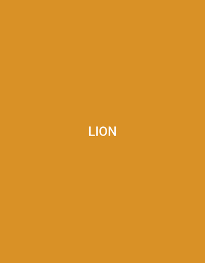 The image displays the word "LION" in white text against a solid, orange background. There is no discernible location in the city of Küçükçekmece, Turkey, or any people, subjects, objects, actions, interactions, or environmental details present in the image.