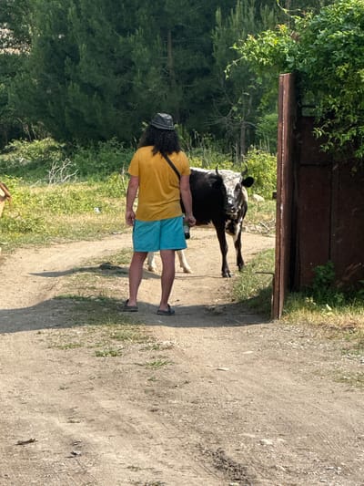 In a rural outdoor scene, a person wearing a yellow t-shirt, blue shorts, and a dark hat stands facing away from the camera on a dirt path. To the right of the person, a black and white cow with horns is visible. The environment consists of greenery, trees in the background, and a rusty metal structure resembling a gate on the right side of the image. The path appears worn with tire tracks and scattered debris. The lighting suggests a sunny day.