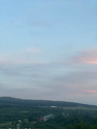 This is a media file depicting a landscape scene, likely taken from an elevated viewpoint. The primary subjects are a densely forested hillside and a pale sky. The scene is dominated by the natural environment, with the hillside taking up the right half of the frame and the sky filling the left. Scattered amongst the trees on the hillside are a few man-made structures, appearing as small houses or buildings. One building has visible smoke rising from it, suggesting a fire or chimney, possibly indicating an outdoor activity like a bonfire or cooking.
The time of day appears to be either early morning or late evening, given the soft, diffused light and the colors in the sky, which range from pale blue to hints of pink and grey, suggesting twilight. The weather seems overcast or hazy, contributing to the muted colors and soft focus. The lush green of the forest indicates a temperate climate during a growing season, consistent with a summer or late spring setting.
The composition is a vertical panorama, with the hillside running diagonally across the image. The overall mood is tranquil and serene, with the gentle colors and the quiet presence of the scattered habitations. There is no visible text in the image. The location context provided is Bârnova, Romania, which aligns with a forested, hilly landscape.