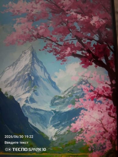 The image is a digital artwork or painting depicting a scenic mountain landscape with cherry blossoms. The foreground features a large tree with abundant pink and red blossoms, with some branches extending towards the viewer. In the mid-ground, a majestic snow-capped mountain range dominates the scene, with sharp peaks and shadowed valleys. Waterfalls or streams appear to flow down the mountainside. The background consists of a soft blue sky with hints of clouds. The overall mood is serene and picturesque, evoking a sense of natural beauty. The artwork has a painterly quality, with visible brushstrokes and blended colors.

Visible text in the image reads:
"2026/06/30 19:22"
"Введите текст"
"TECNO SPARK 10"