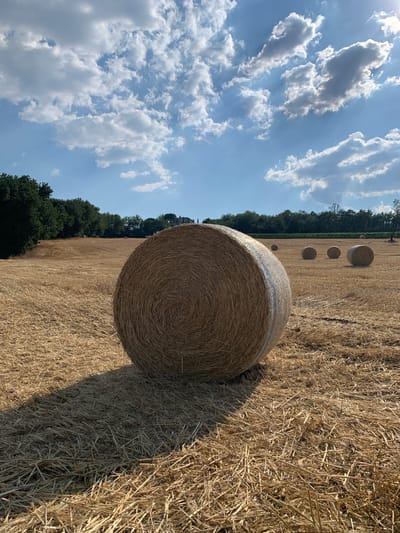 This media file captures a sun-drenched field with several large, round bales of hay. The dominant subject is a massive hay bale in the foreground, positioned to the right, its textured surface filling a significant portion of the frame. Behind it, receding into the distance, are other hay bales, appearing smaller and more numerous.

The scene is set in a rural landscape under a bright, partly cloudy sky. The clouds are dramatic and voluminous, casting shadows and creating rays of sunlight that streak across the blue expanse. The ground is covered in dry, golden stubble, indicative of a harvested field.

To the left of the field, a dense line of dark green trees forms a natural boundary, with a hint of a building, possibly a villa or farmhouse, visible through the trees in the distance. This suggests a countryside setting, likely agricultural.

The time of day appears to be late morning or early afternoon, given the bright sunlight and the angle of the shadows. The weather is fair and sunny, with a gentle breeze implied by the cloud formations.

There are no people or animals visible in the frame, focusing the attention entirely on the natural elements and the agricultural harvest. The overall mood is one of peaceful rural tranquility, highlighting the bounty of the land. No text is visible in the image.