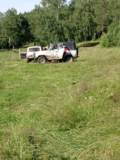 Two white off-road vehicles are parked in a grassy field, with a dense forest in the background. The vehicle on the right has its black soft-top roof up, and a person is visible in the driver's seat. The vehicle on the left has its driver's side door open. The field is covered in tall green grass and some wildflowers. The trees in the background are a mix of deciduous and coniferous trees, with some taller pines standing out. The scene appears to be set during the daytime, under clear skies, suggesting pleasant weather. The location appears to be rural or semi-rural, with the presence of off-road vehicles suggesting outdoor recreational activities like off-roading or camping. There are no visible signs of text in the image.