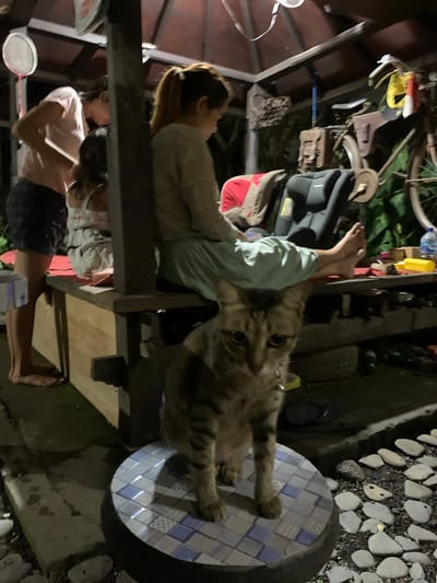 The image shows two people and a cat in an outdoor setting at night, likely in Banjar, Indonesia. The first person is lying on their back on a wooden structure, with their legs propped up on another beam. They are wearing a light-colored, long-sleeved top and light blue pants. A cat is perched on their legs, looking towards the camera with its paws resting on a circular mosaic object. The cat has tabby markings.

Behind the first person, another person is visible lying down on a similar structure, wearing a pink t-shirt and dark shorts. They are looking downwards. In the background, there are various objects including what appears to be part of a bicycle, some bags, and other miscellaneous items, suggesting a storage or cluttered area. The ground is covered with small stones and some foliage. The overall lighting suggests it is nighttime. The scene appears to be informal and relaxed.