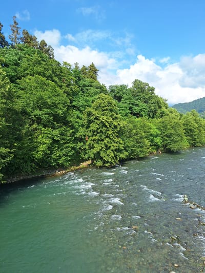 An elevated, wide-angle shot captures a vibrant natural scene by a river, likely in Kobuleti, Georgia, on a clear, partly cloudy day. The foreground is dominated by a flowing river with transparent, turquoise water, revealing a bed of smooth, multicolored stones. The water exhibits a textured surface with small waves and ripples, indicating movement.

To the left of the river, a steep bank is densely covered with lush, green foliage of various trees and bushes. The vegetation forms a thick wall of vibrant green, with some trees reaching higher than others, creating a layered effect. A singular, bright orange rectangular object, possibly a marker or a piece of signage, is visible hanging from a tree branch on this bank. The bank transitions into a rocky shoreline where it meets the river.

In the background, the dense green forest continues, extending up rolling hills that fade into the distance. The sky above is a bright blue, dotted with scattered white clouds, some of which are fluffy and voluminous, while others appear thin and wispy. The overall impression is one of a serene and verdant natural landscape.