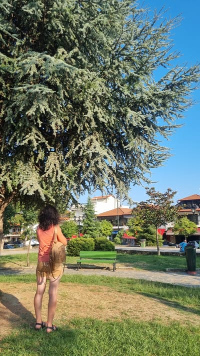 In Litochoro, Greece, a woman with curly dark hair stands with her back to the camera, wearing an orange top and tan shorts. She has a brown backpack slung over her right shoulder and is wearing sandals. The woman is positioned on a grassy area with patches of dry earth, facing a green park bench. Behind the bench, there is a paved pathway and a lush green area with various trees and bushes. Beyond the park, buildings with terracotta roofs are visible, suggesting an urban or semi-urban setting. The sky is clear and blue. The scene appears to be a public park on a sunny day.