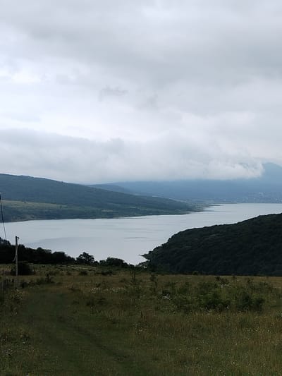 The image depicts a wide shot of a body of water, likely a lake or reservoir, with rolling hills covered in dense green forest flanking its edges. The water is a pale blue-gray, reflecting the overcast sky which is filled with heavy, diffused clouds. The foreground consists of a grassy, unkempt field with scattered small white flowers and some low-lying brush. A faint dirt path or track is visible winding through the grass. In the far distance, the shoreline curves out of view, and beyond that, more hazy hills can be seen. A single, thin, dark pole extends vertically from the lower left corner of the frame, with a wire attached. The scene appears to be a natural landscape in a rural or mountainous area. The location is identified as Chekuraantgori, Georgia.