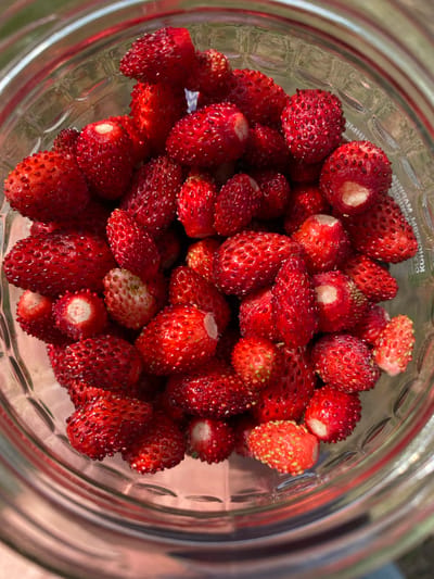 The image shows a close-up, overhead view of a glass jar filled with wild strawberries. The strawberries are small, red, and have visible seeds. Some of the strawberries are whole, while others appear to have been bitten or cut, revealing a white interior. The glass jar has a textured pattern on its surface, and the background is blurred, suggesting an outdoor setting with green foliage. There are no people or animals visible in the image, and no specific location in Oktyabr'skii, Russia can be identified.