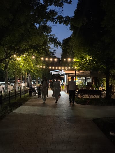 The image depicts a nighttime scene on a paved pedestrian walkway in Novo-Artlukh, Russia. The walkway is lined with trees adorned with string lights, creating a festive atmosphere. On the left side of the walkway, cars are parked along a street, and a metal fence separates the street from the walkway. Several people are visible walking along the path and seated at tables in outdoor dining areas. On the right side, there are outdoor seating arrangements and structures that appear to be food or drink vendors. The sky above is dark, indicating it is late evening or night. The overall environment suggests a public space with outdoor dining and entertainment.