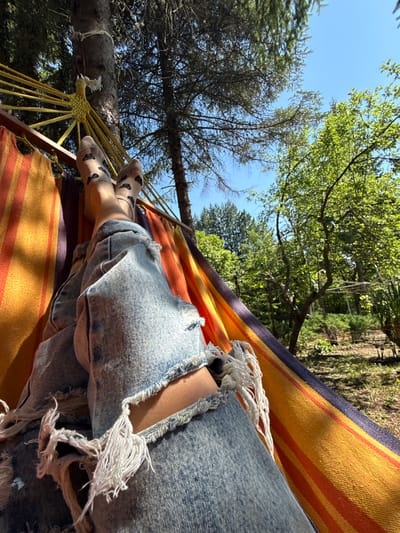 In the city of Tsatsarovtsi, Bulgaria, a person is relaxing in a hammock outdoors, suspended between trees. The hammock has colorful stripes of orange, yellow, and purple. The person is wearing ripped denim jeans and socks with a black pattern. The background shows lush green trees and a clear blue sky, indicating a sunny day. The overall scene depicts a peaceful and leisurely moment in a natural, outdoor setting.