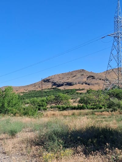 A wide shot captures a rural landscape under a clear blue sky. In the foreground, dry, light-brown grasses and some green bushes are visible. In the mid-ground, rows of green trees, likely an orchard, stretch horizontally across the frame. Behind the orchard, a brown, rocky hill dominates the background. To the right, a tall, metallic power line tower stands, with wires extending across the sky. Another, smaller red tower is situated on the side of the hill. The image appears to be taken during daylight in a dry, arid environment, possibly in the vicinity of Malishka, Armenia.