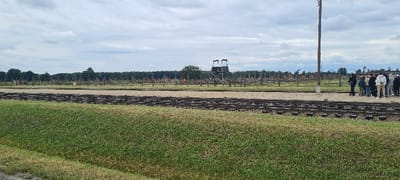 The image displays an outdoor scene at the Auschwitz-Birkenau Memorial and Museum in Brzezinka, Poland, under an overcast sky. In the foreground, a field of green grass occupies the lower portion of the frame. Multiple parallel sets of standard-gauge railway tracks with wooden sleepers and gravel ballast traverse the midground horizontally. Beyond the tracks, a vast, flat expanse of land is visible, populated by numerous vertical wooden posts and what appear to be remnants of perimeter fences. A prominent wooden watchtower stands in the mid-distance, slightly left of center. In the far background, a dense line of trees forms the horizon. On the right side of the tracks, a group of approximately 10-15 individuals, dressed in casual clothing, stands clustered on the gravel, observing the area. A tall wooden utility pole is positioned upright near this group. No specific actions or interactions are discernible beyond the group standing together.