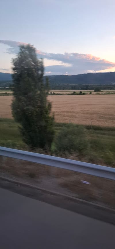 The image depicts a landscape scene, likely captured from a moving vehicle, given the motion blur. The foreground features a portion of a road and a metal guardrail, suggesting the perspective is from a highway or a road with similar infrastructure. Beyond the guardrail, a field of golden-brown crops, possibly wheat or barley, stretches towards a backdrop of rolling hills or mountains. A lone, blurred tree stands prominently in the mid-ground. The sky above is a soft blend of pale blue and pink hues, with scattered clouds, indicating either sunrise or sunset. The overall impression is one of a rural or semi-rural environment. The question of the location in Mursalevo, Bulgaria, cannot be verified or refuted by the visual information present in the image alone. There are no discernible landmarks or specific features that definitively place the scene within Mursalevo or any other specific geographic location.