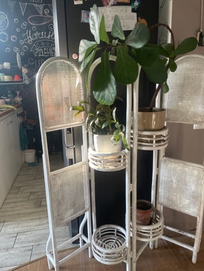 The image captures an indoor scene, likely a kitchen or dining area, in a residential setting. The primary focus is a white, tiered plant stand made of a woven material, possibly rattan or wicker, with a distressed finish. It holds several potted plants. On the top tier, a large plant with broad, glossy green leaves is positioned. Below it, a smaller plant with variegated leaves sits in a white pot. The bottom tier holds an empty terracotta pot.

To the left of the plant stand, part of a kitchen counter and cabinetry is visible, along with a black chalkboard on the wall adorned with chalk drawings. These drawings include decorative elements like circles and banners, as well as handwritten text that appears to be in Cyrillic script. A shelf with various mugs and cups is mounted on the wall above the counter.

To the right of the plant stand, a portion of a dark refrigerator is visible. The floor is a light-colored wood or laminate, and in the background, there's a glimpse of a white bucket and a blue cloth. The overall impression is one of a domestic space that is lived-in and decorated with greenery and personal touches. The location is identified as Мухавецкі сельскі Савет, Belarus.