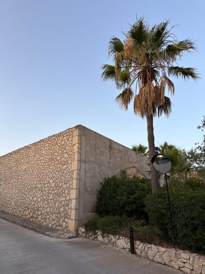 The image shows a corner of a building with a textured stone wall and a smooth concrete section against a clear blue sky. A tall palm tree with dry fronds stands to the right of the building, casting a shadow. In front of the palm tree, a round convex mirror is mounted on a black pole, reflecting the surrounding environment. Dense green bushes and some smaller stones line the base of the building and the roadside. A paved pathway or road is visible in the foreground, leading away from the viewer. The scene appears to be located in a warm climate, consistent with the town of Montuïri, Spain, known for its rural landscapes and traditional architecture. There are no people or animals visible in the image.