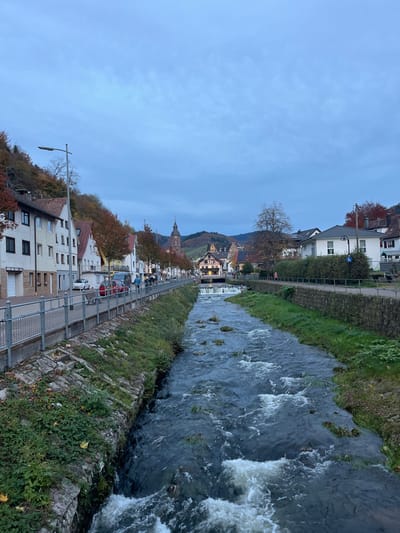 This image depicts a view along the Rench river in Oppenau, Germany, looking towards the town center. The river occupies the lower and central portions of the frame, flowing from foreground to mid-ground with a visible current, characterized by numerous white rapids and ripples. Both riverbanks are lined with stone retaining walls, topped with green and brown vegetation and some fallen leaves.

On the left side, a paved street runs parallel to the river, separated by a metal guardrail. Multiple vehicles are parked along the street, including a red hatchback, a dark-colored van, and a white sedan. Several pedestrians are visible on the sidewalk. A continuous line of multi-story buildings, predominantly with white or light-colored facades and red-tiled pitched roofs, fronts the street. Deciduous trees displaying orange and brown autumn foliage are present along the street and between buildings.

On the right side, a grassy strip and a pedestrian path run parallel to the river. Further downriver, white residential or commercial buildings are visible, including a prominent brown and white half-timbered structure with illuminated windows. A low weir or waterfall spans the river in the mid-distance.

In the background, rolling hills covered in dense forest exhibiting significant autumnal color rise behind the town structures on both sides. A distinct church steeple with a dark, pointed dome is prominent in the central background, rising above the buildings. The sky is uniformly overcast, displaying a light blue-grey hue. The ambient light suggests an overcast day during the autumn season.