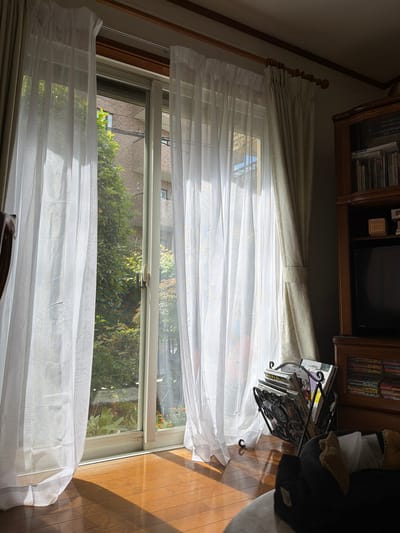 A view through a window in a room, likely located in Kawasaki, Japan, reveals foliage and possible structures outside. The window is covered by white, semi-sheer curtains, partially obscuring the outdoor view. A cabinet with books and other items sits above the window. A magazine rack with reading material sits adjacent to the window. Light floods in from the right side of the frame, illuminating the wooden floor. A person is partially visible to the right.