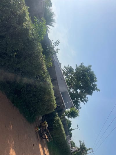 The image depicts an outdoor scene in Wauro Jabbe, Nigeria, under a clear, bright sky suggesting daytime. A tall, leafy tree dominates the upper left portion of the frame, with its branches reaching towards the sky. Below the tree, a grey, modern-looking building with a flat roof is partially visible. A stone wall runs horizontally across the middle of the image, separating the foreground from the background.

In the foreground, lush green bushes create a dense hedge. To the right of the bushes, a dirt path leads into the distance. On this path, a two-wheeled wooden cart with a yellow container is parked. Next to the cart, two bottles, possibly containing liquids, are placed on the ground.

Further in the background, more greenery and trees are visible, along with a utility pole and streetlights, hinting at a developed area. A faint silhouette of a person can be seen near the top right corner, and another person appears near the bottom left of the building. The overall impression is one of a sunny day in a semi-urban or rural environment, with elements of both nature and human infrastructure present. No visible text is present in the image.